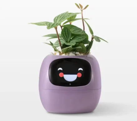 Smart Planter Novelusion
