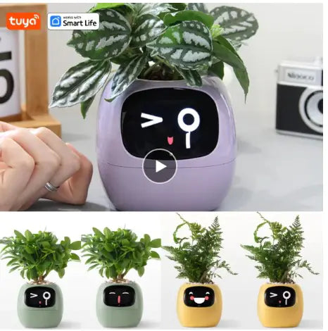 Smart Planter with Rich Expressions