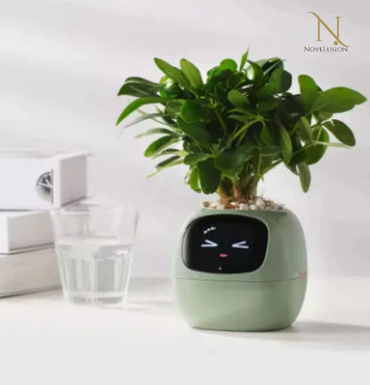 Smart Planter with Rich Expressions