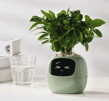 Smart Planter with Rich Expressions