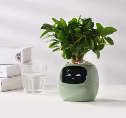 Smart Planter Novelusion