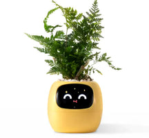 Smart Planter Novelusion